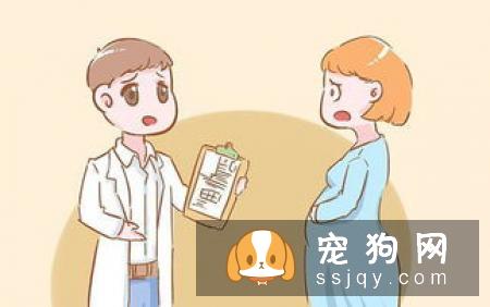 拉布拉多吃什么对身体好