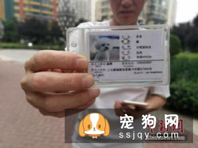 出台养狗规定，助力文明养犬