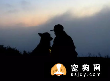狗狗眼里看到的世界跟人类是一样的吗？