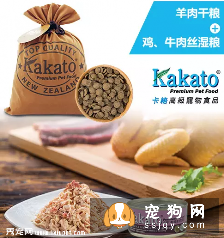 宠物为什么那么挑食?了解这些找到根源