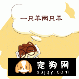 狗狗的记忆力有多长？