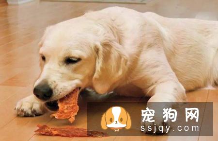 犬的泌尿系统包括肾脏、输尿管、膀胱及尿道
