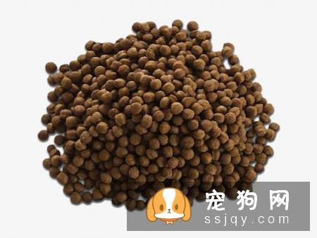 成犬狗粮应该如何挑选