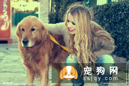 宠物会患抑郁症吗，有什么现状？主人的抑郁对宠物有何影响？