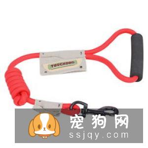 带狗狗出行，应该如何正确的牵引狗狗