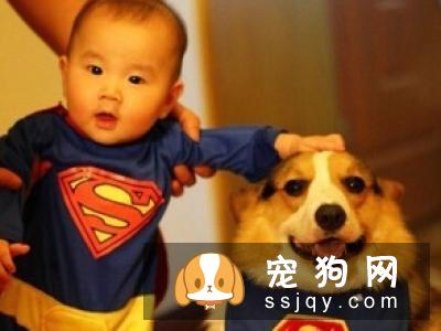 狗狗体外驱虫喷剂的使用方法及注意事项
