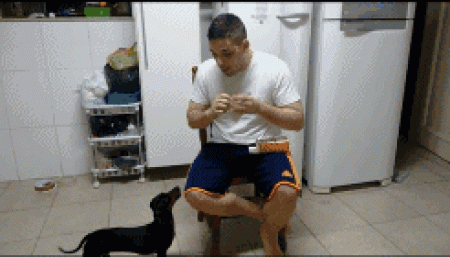 狗子乖乖吃药这件事,貌似只发生在它少不更事的时候,还会花样拒绝你