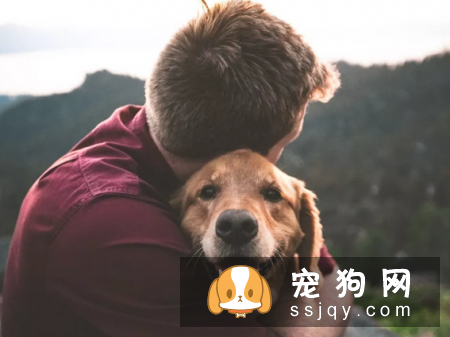 如何确诊狗狗传染性肝炎