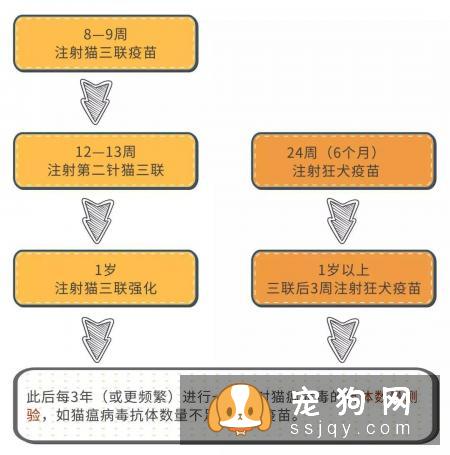 宠物过多的接种疫苗对它的身体健康有影响！