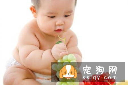宠物太胖，应该如何控制体重？