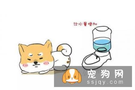 【狗狗肠胃炎发病原因】