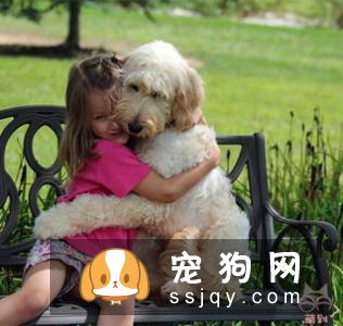 狗狗常见的过敏症状以及过敏源