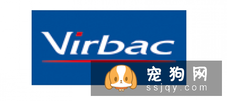 关于宠物疫苗的基本常识 你需要知道