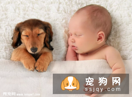 孕妇和婴幼儿能与宠物共同生活吗?