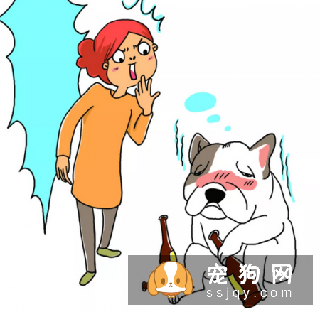 有的食物反而会害了狗狗,知道是哪些吗?