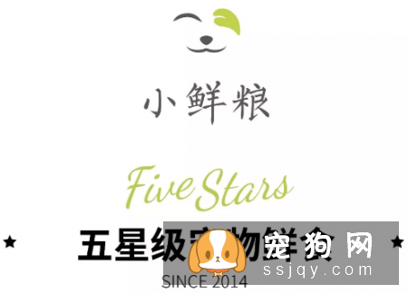 全新盒装包装来了五个超萌镂空图案