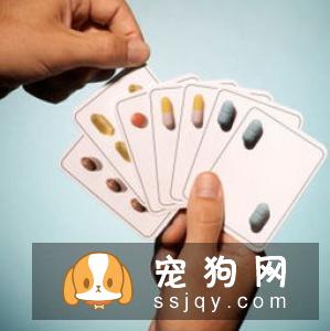 家有宠物必知：中暑征兆及预防方法