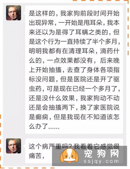 狗狗犯癫痫应该怎么办？