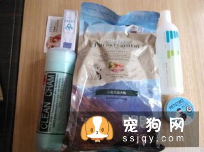 宠物滴眼液的正确使用办法