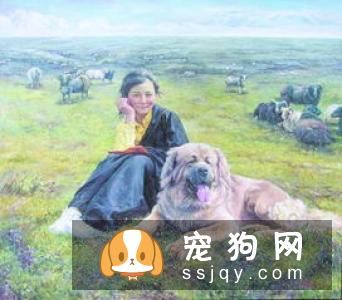 藏獒漫不经心却能听懂人话,有时它好像什么也不关心