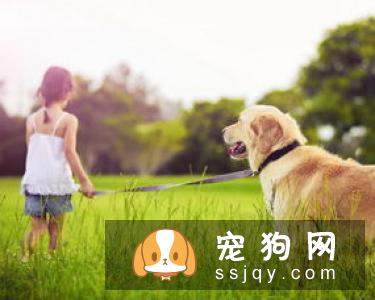 宠物不宜过度肥胖，宠物过度肥胖的危害不容忽视!