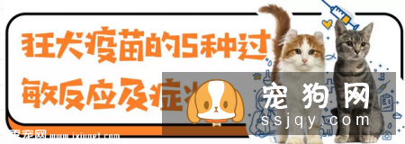 狗狗注射疫苗后，昏迷不醒！