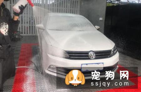 为什么狗狗做了绝育手术，还是到处乱尿标记?