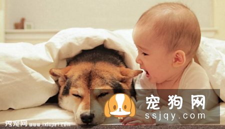 孕妇和婴幼儿能与宠物共同生活吗?