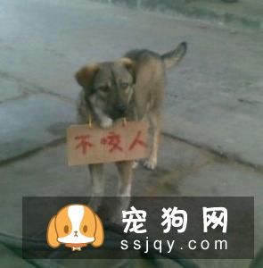 谷物中过多碳水化合物(纤维)的作用