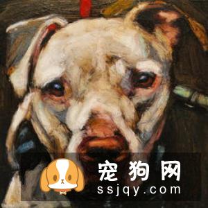 药物安乐死技术方法有哪些
