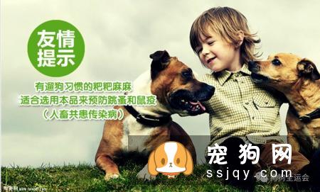 关于狗狗驱虫：闷热潮湿的8月份，是什么1变100？