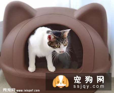 宠物健康一看“便”知!