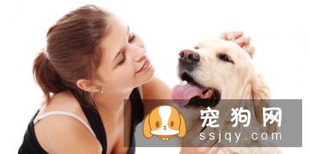 如何及时发现狗狗身上的寄生虫