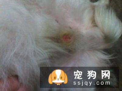 常见的生殖系统疾病都有哪些