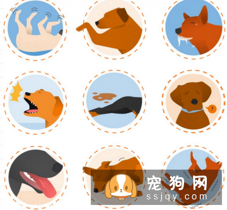 狗狗犯癫痫应该怎么办？