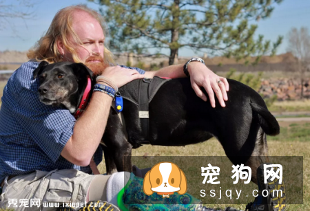 狗狗为什么会得创伤后应激障碍