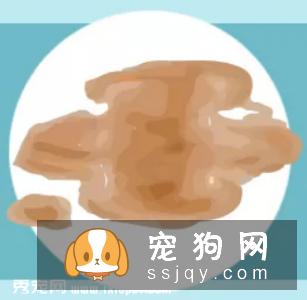 宠物健康一看“便”知!