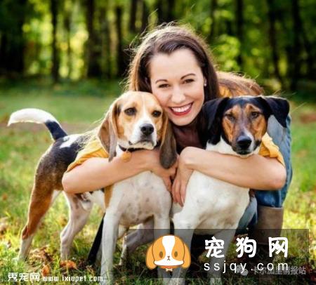 养宠物真的会造成温室效应！最好给宠物喂养低蛋白食物