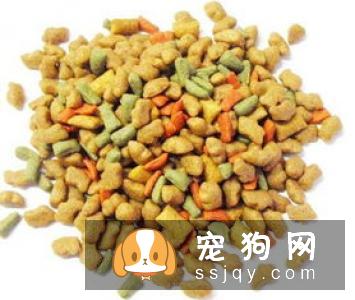 【狗狗肠胃炎发病原因】
