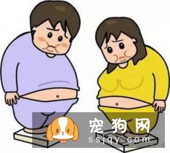 宠物不宜过度肥胖，宠物过度肥胖的危害不容忽视!