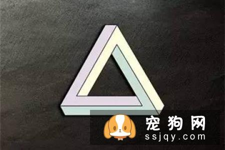 这九句话也许让你对宠物美容有更深刻的理解