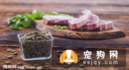 狗狗为什么会过敏?