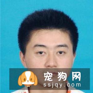 狗狗血型有哪些，狗狗输血要注意什么