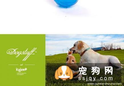 为什么要给狗狗玩漏食球，狗狗应该如何使用漏食球