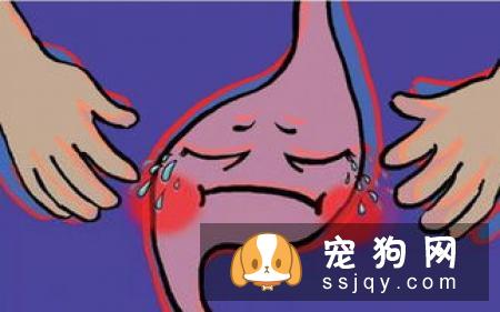 狗患了PTSD有什么症状，应该怎么治疗
