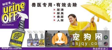 美国Urine off解尿素能有效降低犬钩端螺旋体病毒??