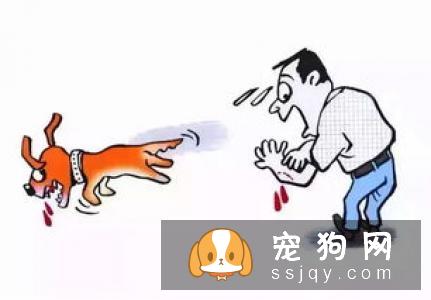 狂犬病/恐水症/疯狗病