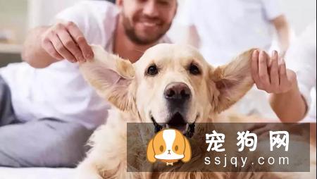 养宠常遇到的10个大坑，合格的铲屎官需了解！