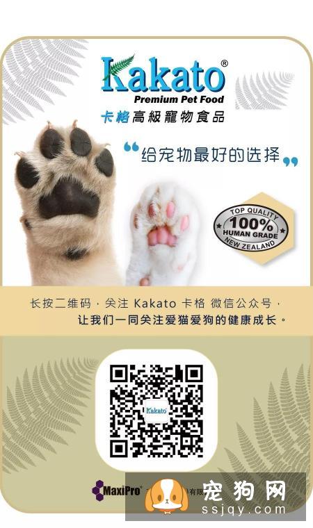 狗狗如厕“大试炼”!主人通关秘籍在此