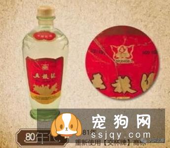 怎么判断狗狗变老，狗狗变老有什么特征